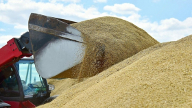 Экспортную пошлину на пшеницу из РФ снизят до 4 727,6 рублей